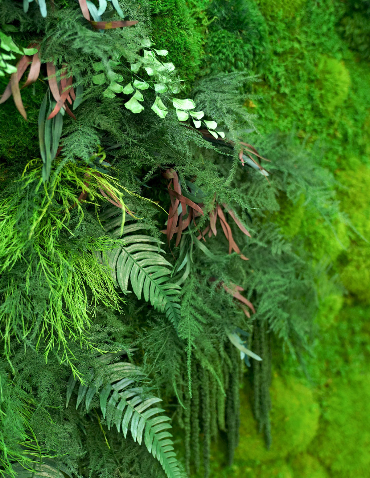 Verti-Grow, Living walls, Handcrafted moss walls