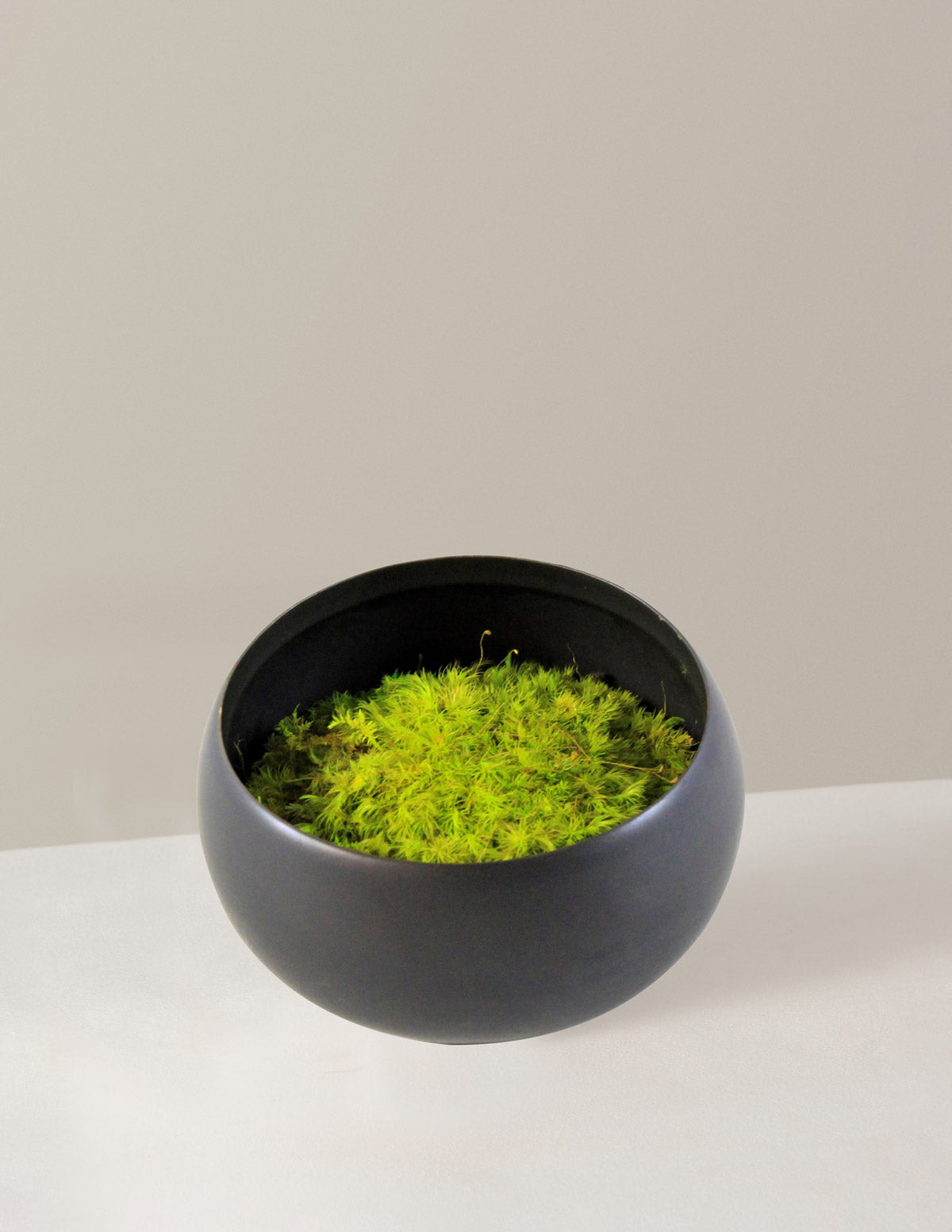 Moss Bowl Centerpiece