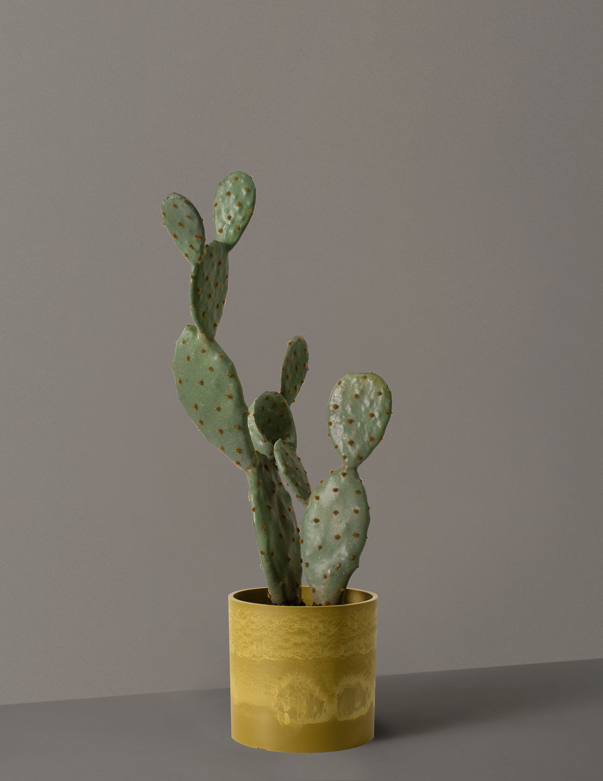 Faux Cactus