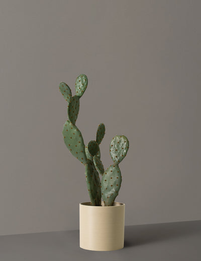 Faux Cactus