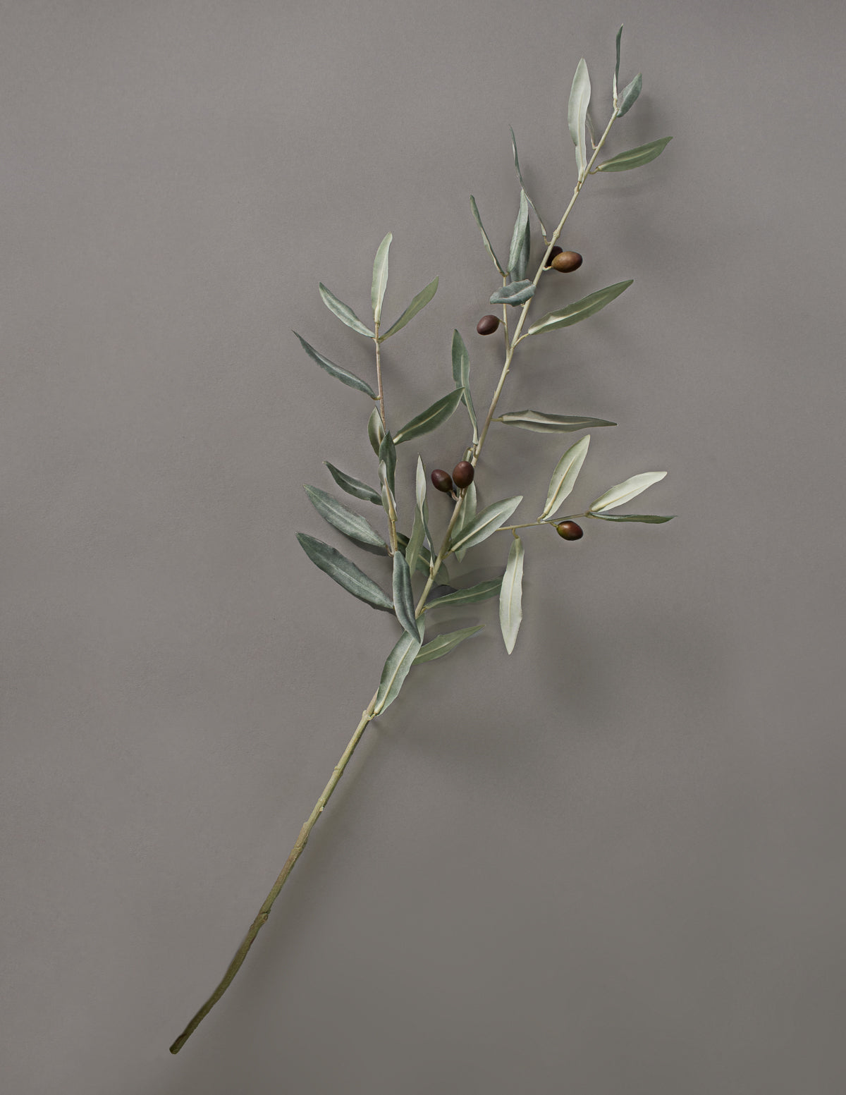 Faux Botanicals Floral Stems & Branches