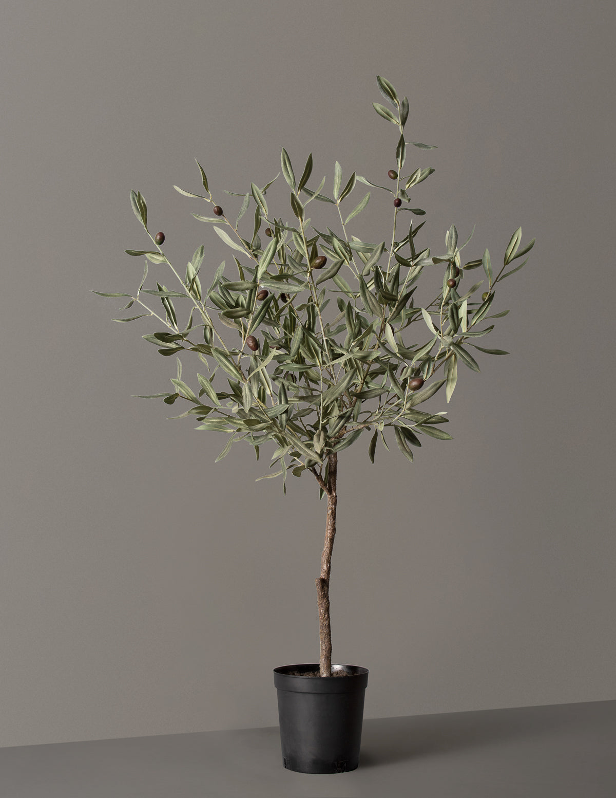 OLI Artificial Olive Tree Potted Plant