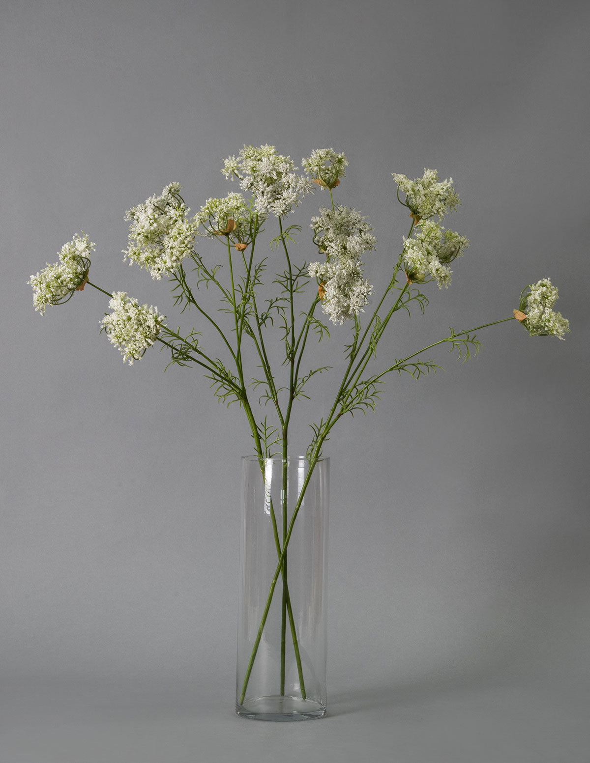 Faux Queen Anne's Lace Stems Trio White Houseplants in Green/White - The Sill