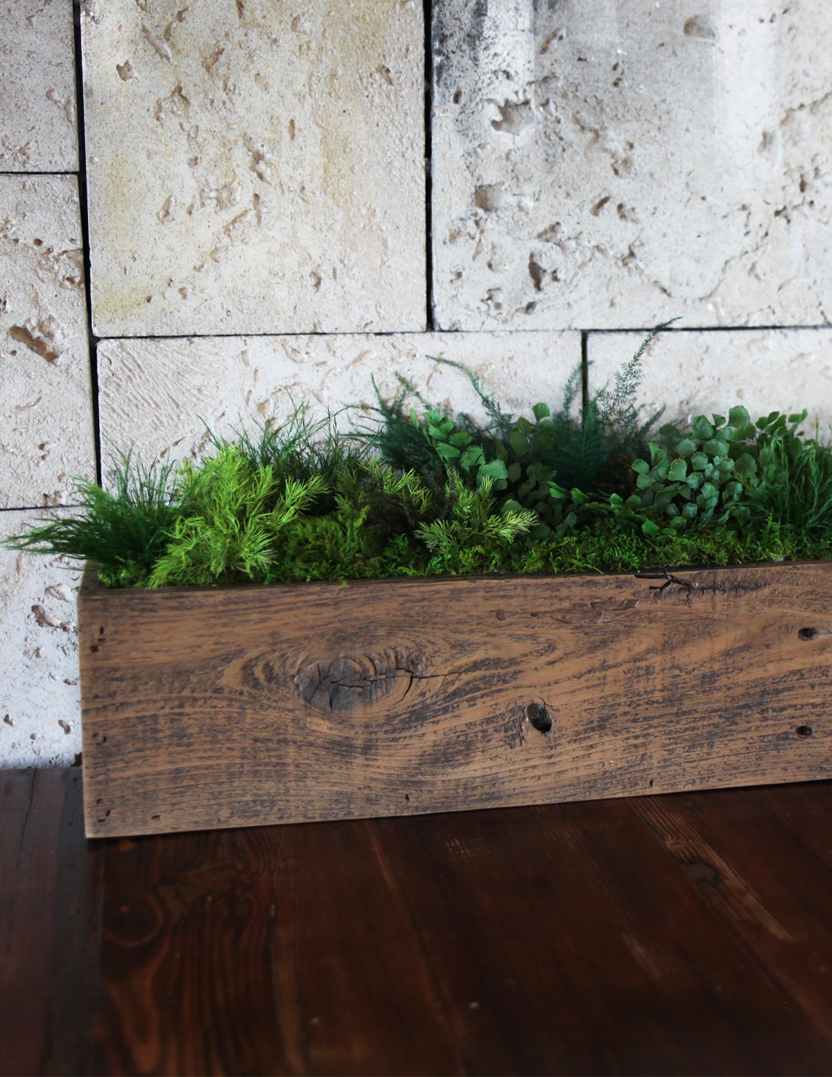 Preserved Moss & Fern Box