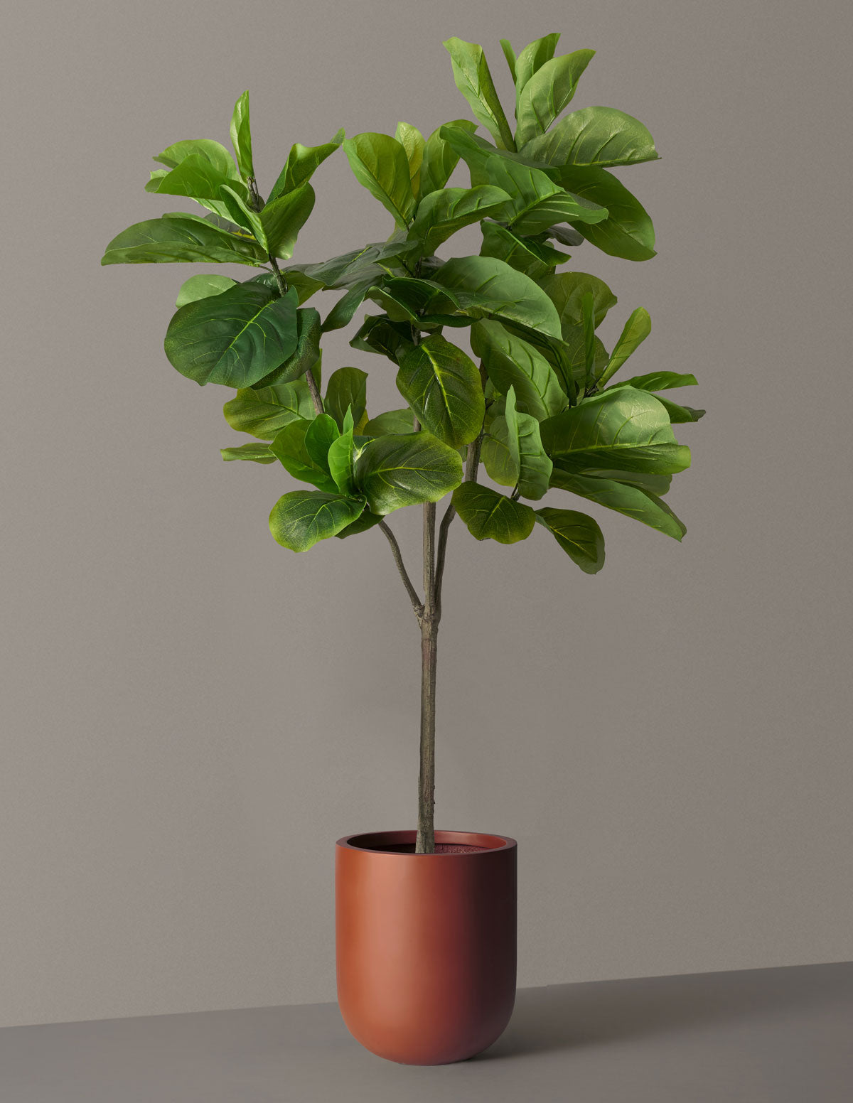 Faux Fiddle Leaf Fig Tree | Faux Plants for Delivery | The Sill