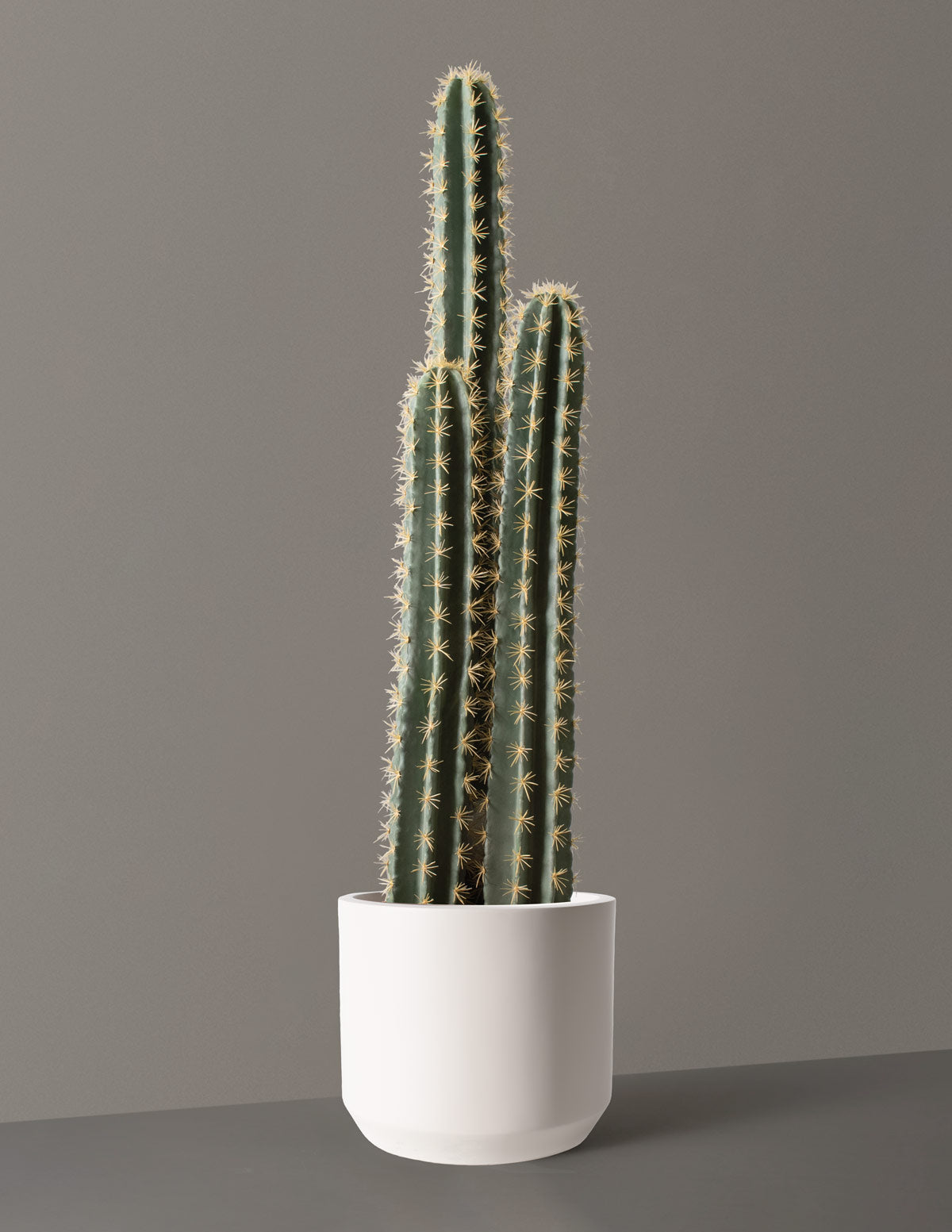 Faux Floor Cactus