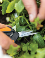 Micro-Tip® Pruning Snips