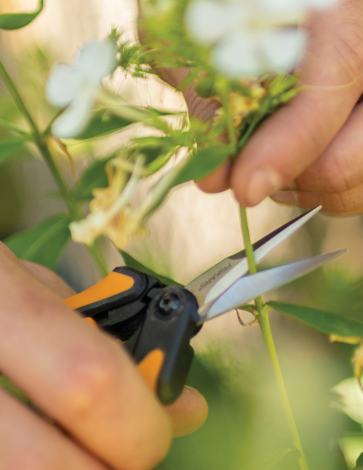 Micro-Tip Pruning Snips Fiskars