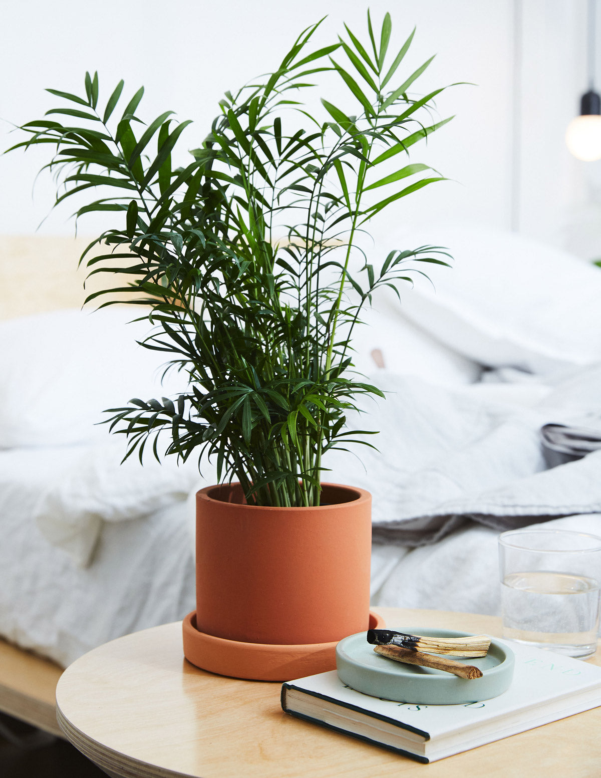 The Sill Large Pallas Planter in Grey