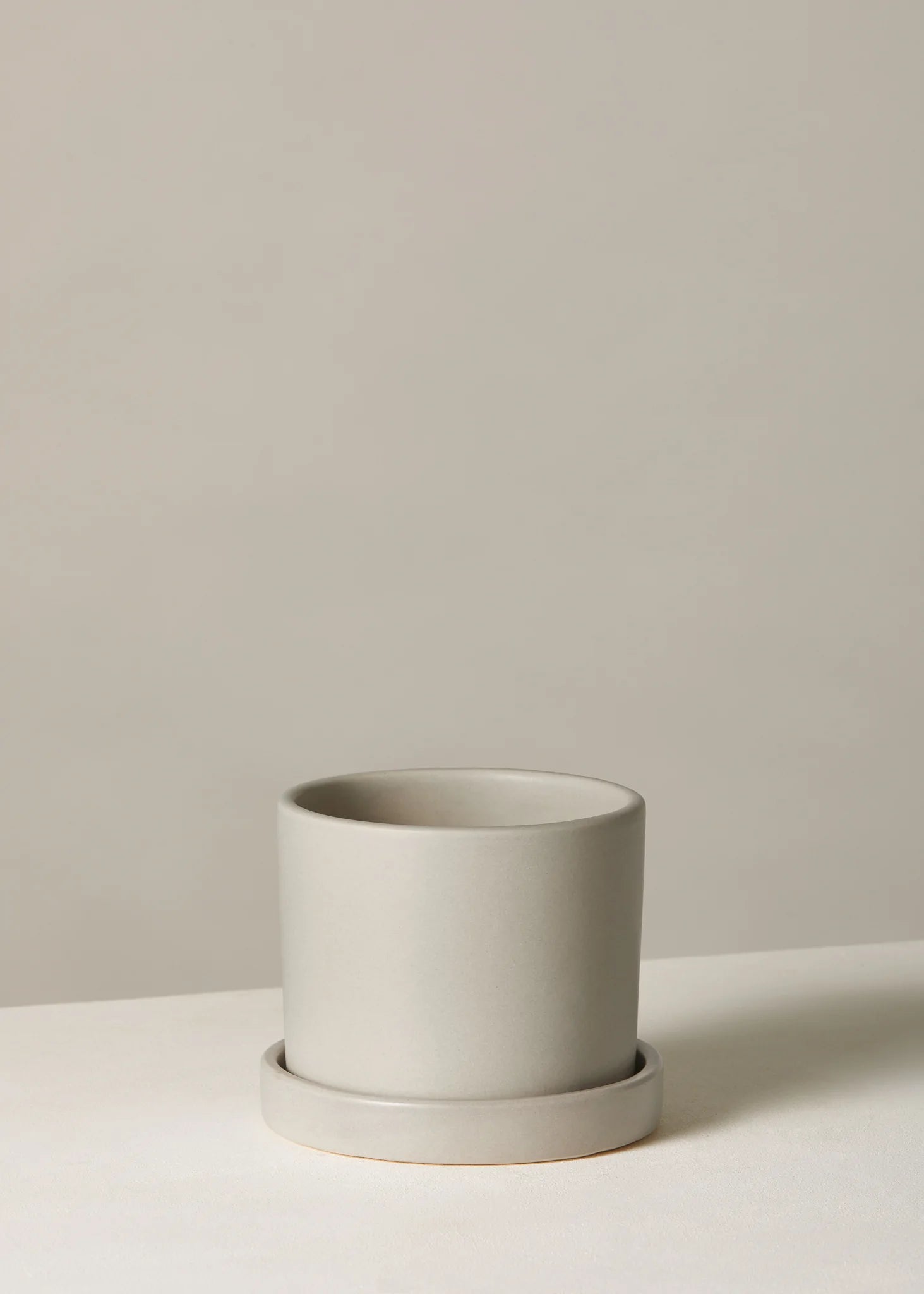 The Sill Large Pallas Planter in Grey