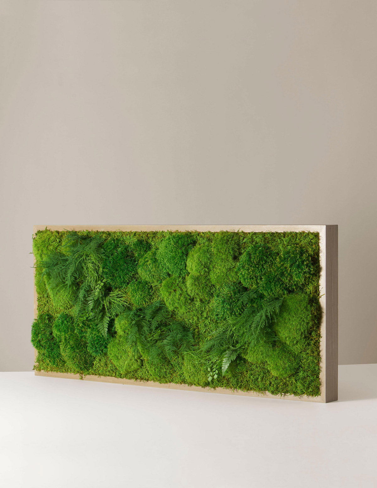 Moss Wall Art. Moss Frame. Green Wall Art. Wall Decor. Preserved