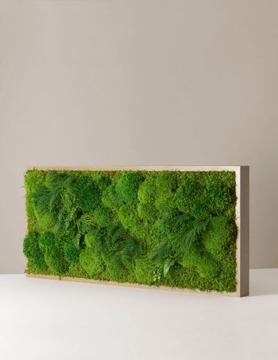 Biophilic Design: How-To DIY a Preserved Moss Wall - The Sill