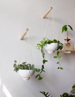 Wall Plant Hanger