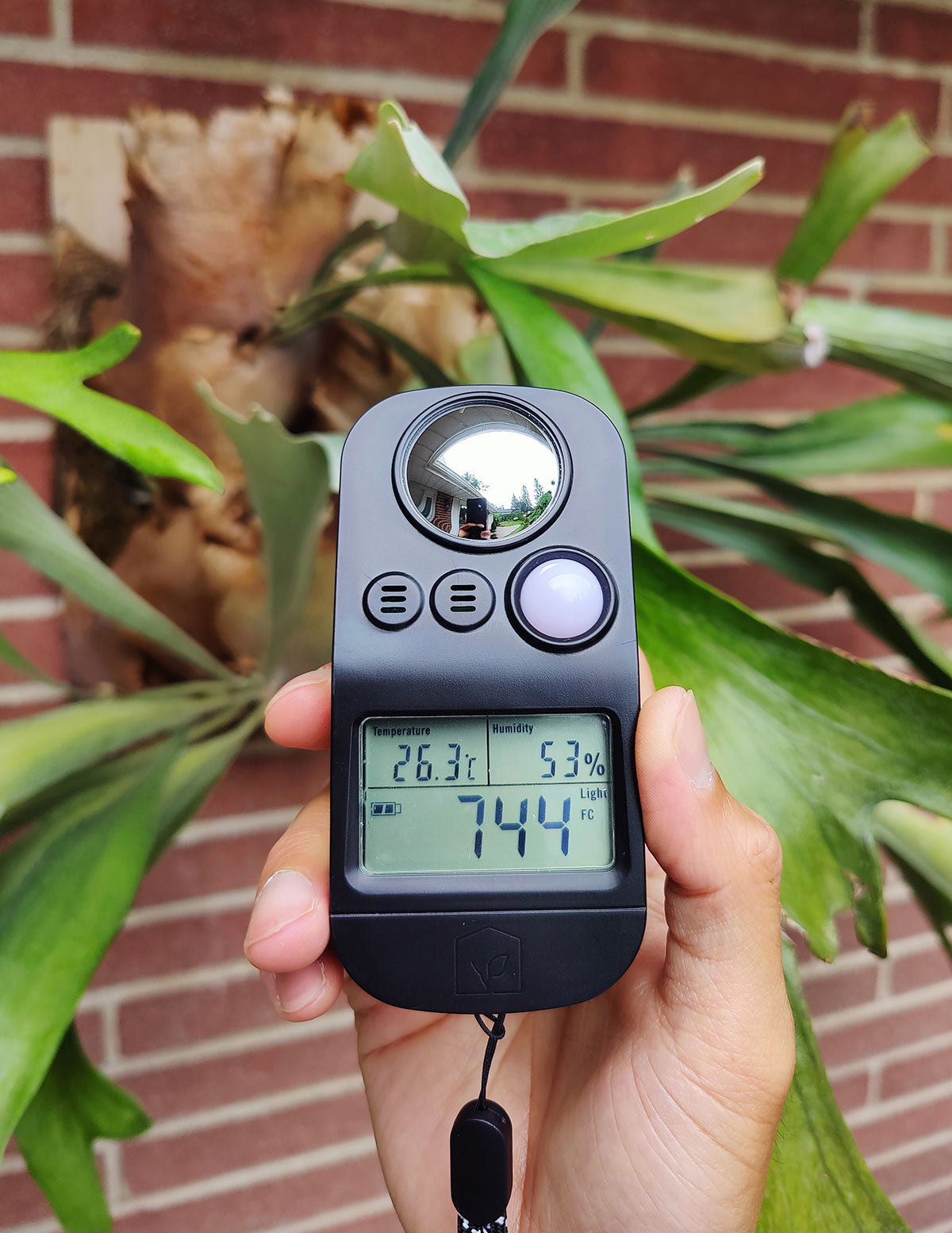 Light, Temperature, Humidity Meter