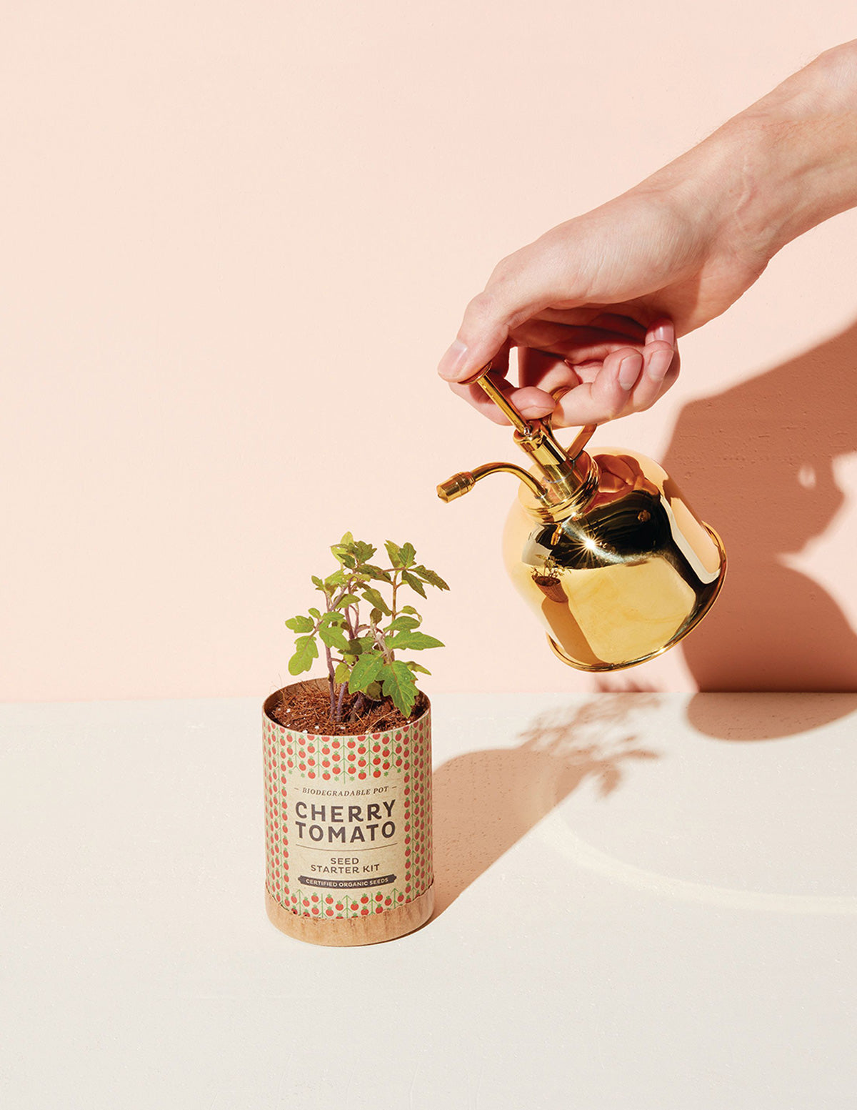 Brass Mister, Plant Accessories for Delivery