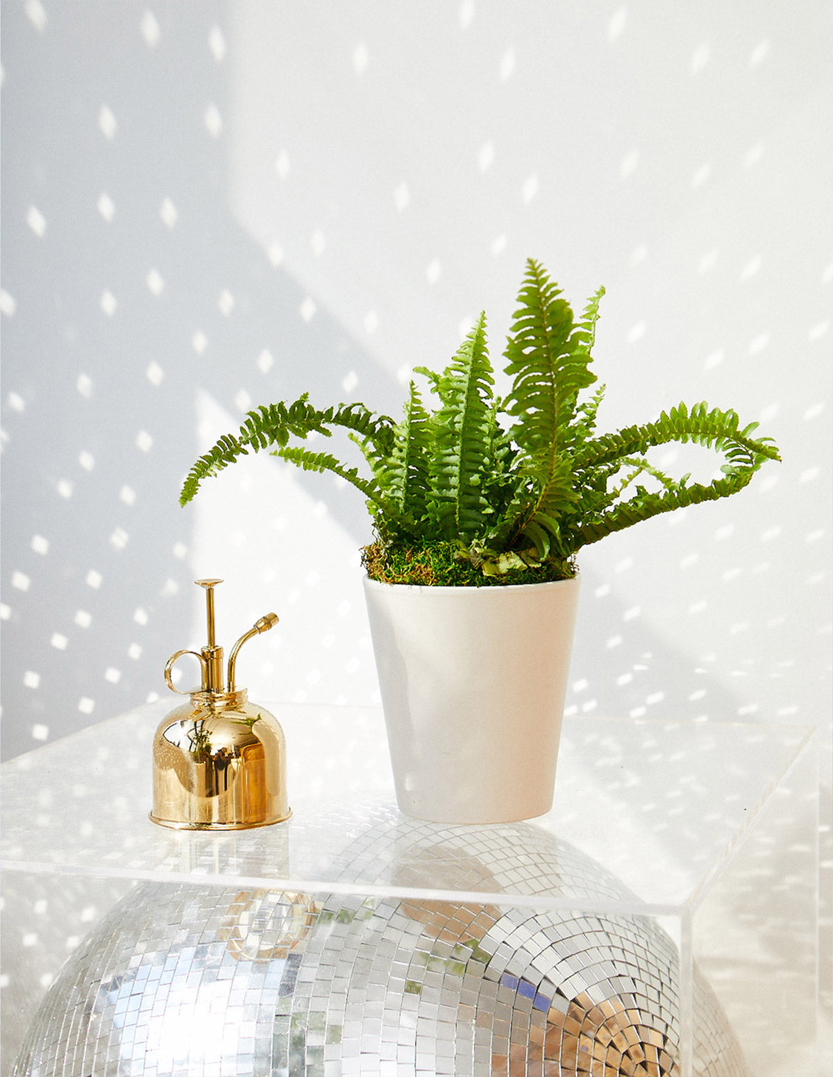 Brass Plant Mister — Star Bright Farm