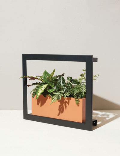 Medium Preserved Living Wall 48 x 18