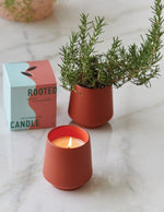 Rooted Candle Trio