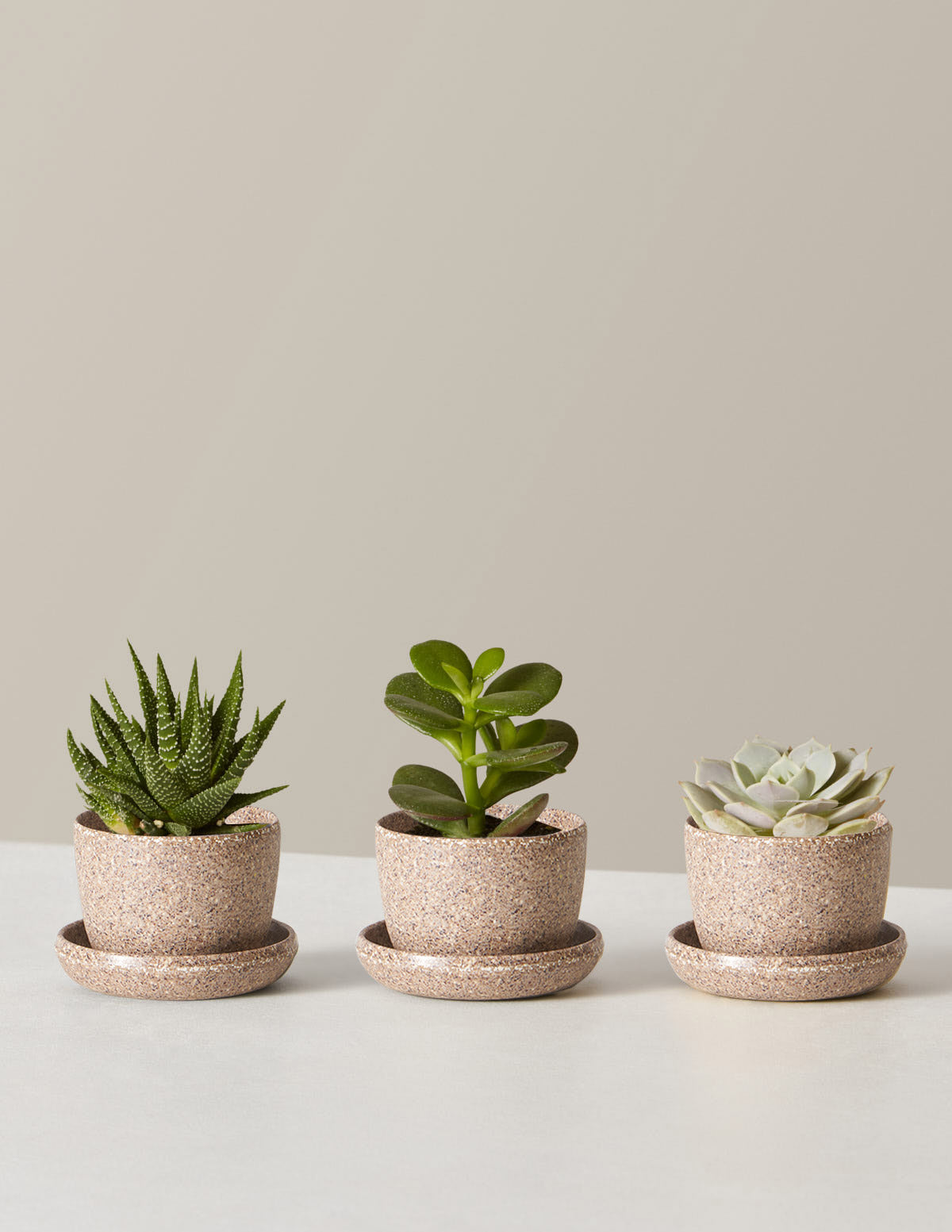 Set of 3 Small Succulent Plant Pots Original Planter Gift 