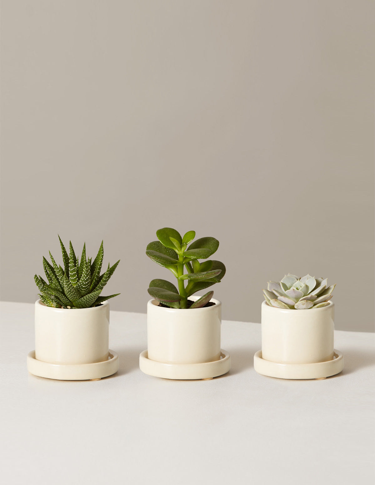 Set of 3 Small Succulent Plant Pots Original Planter Gift 