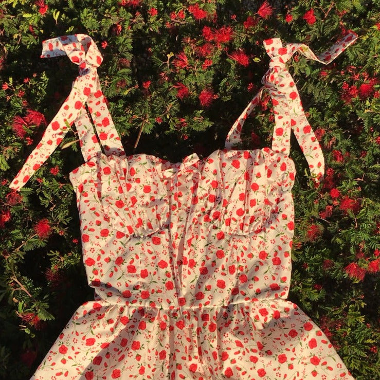 Be Mine Rosy Dress – Bonne Chance Collections