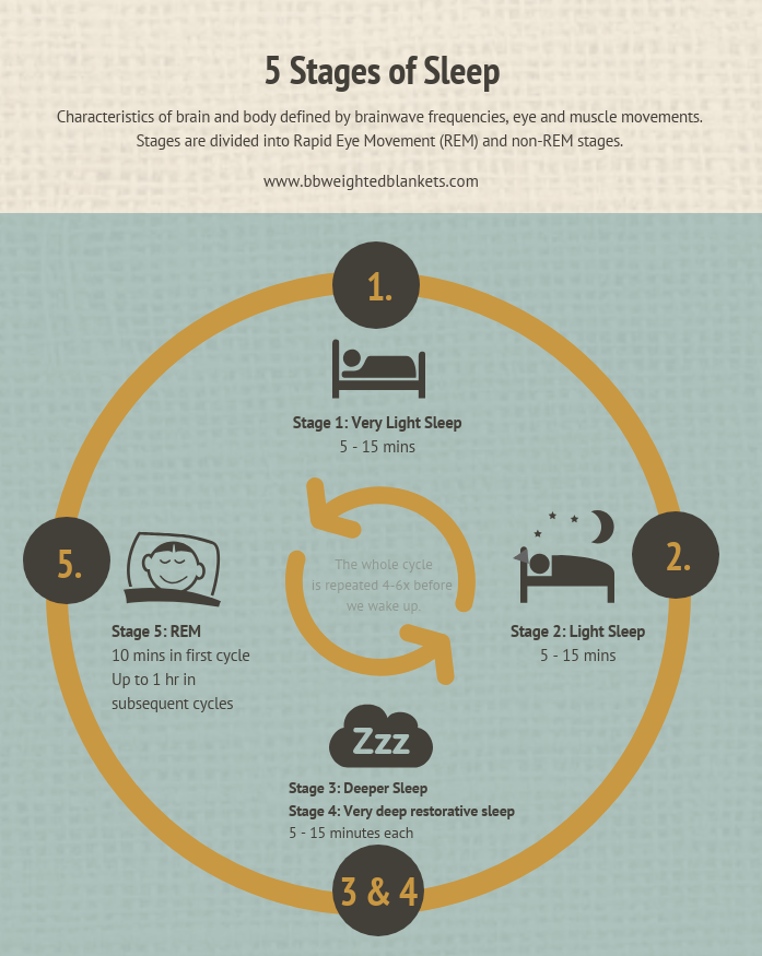 Understanding the 5 Stages of Sleep and Sleep Cycles | BB Holistics