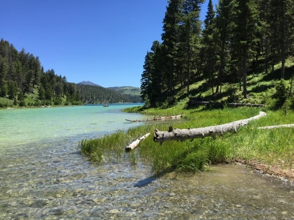 Beginning May 14th, 2021 reservations will be required to secure a campsite at Cliff Point, Wade Lake, and Madison River campsites located in the Madison District of the Beaverhead-Deerlodge National Forest