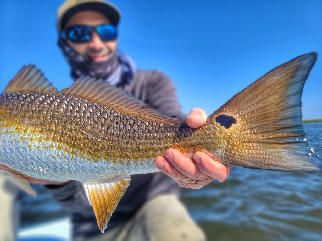 Fly Fishing Redfish Louisianna
