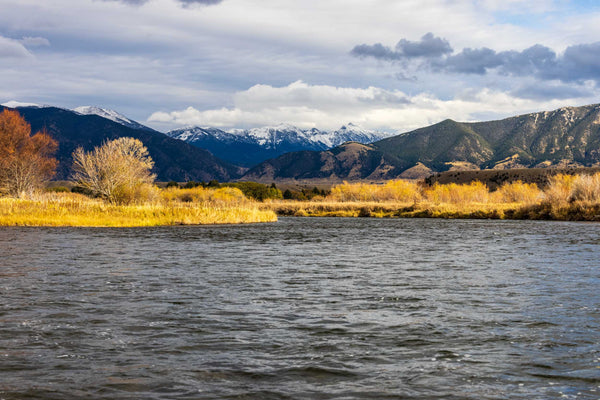 Madison River Fishing Report, Fly Fishing Montana, Best Trout Rivers in the US, MRFC, Fly fishing, Fly fishing Montana