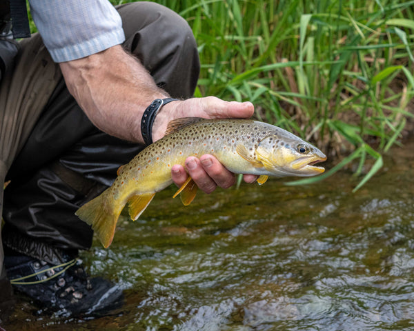 Fishing Small Water