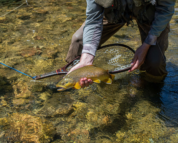 Fishing Small Water