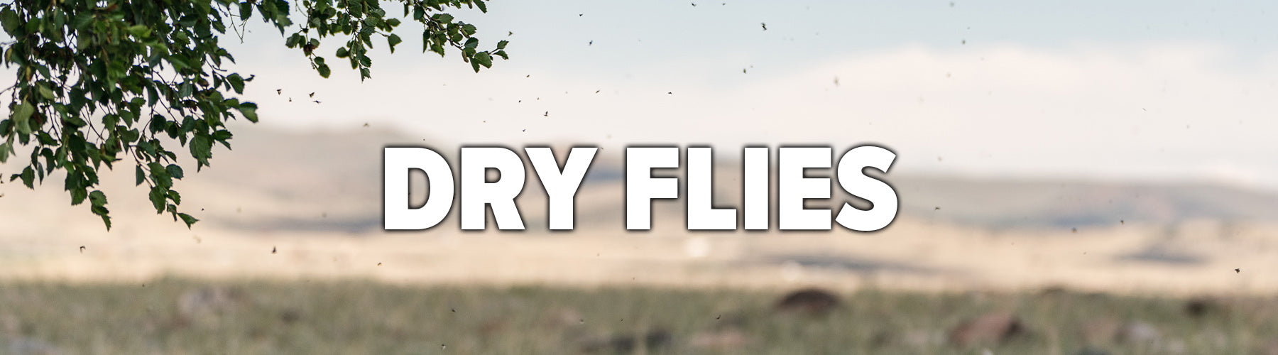 Dry-Flies-On-Sale