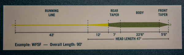 Tapered Leader Fly Line