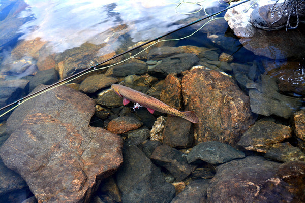 Fly Fishing Stillwater - Part 3 The High Lakes