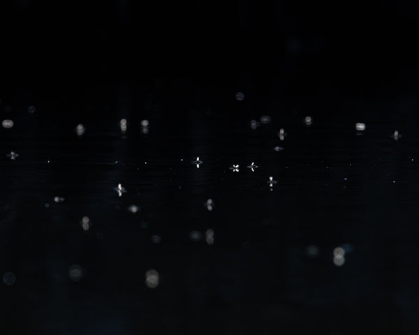 Flies On Water