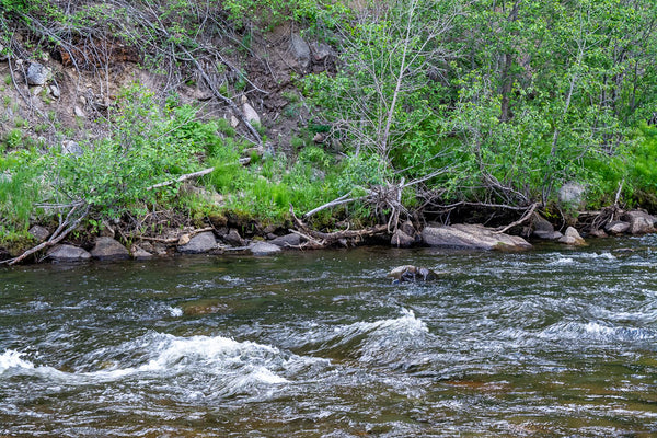 Reading Water on the Rivers of Montana