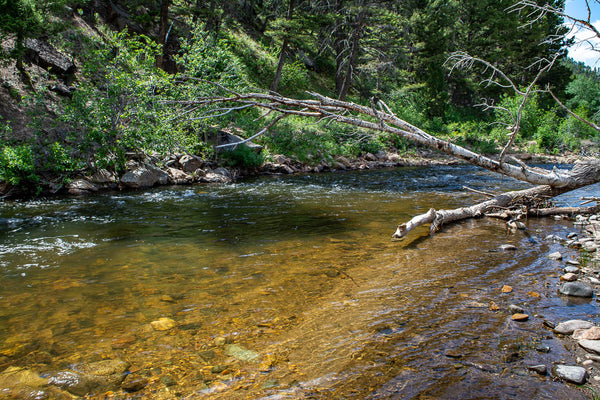 Reading Water on the Rivers of Montana