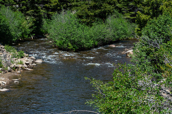 Reading Water on the Rivers of Montana