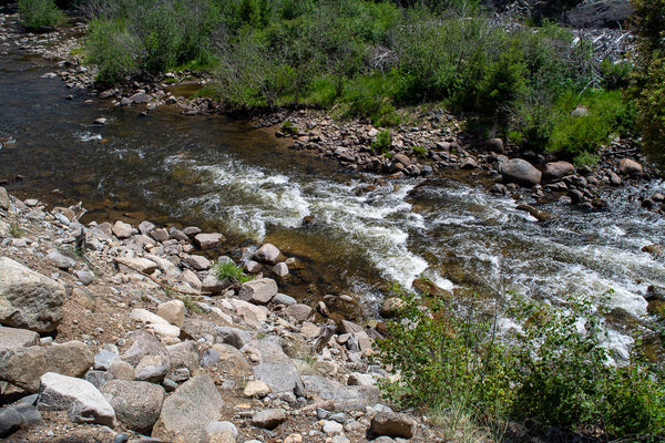 Reading Water on the Rivers of Montana