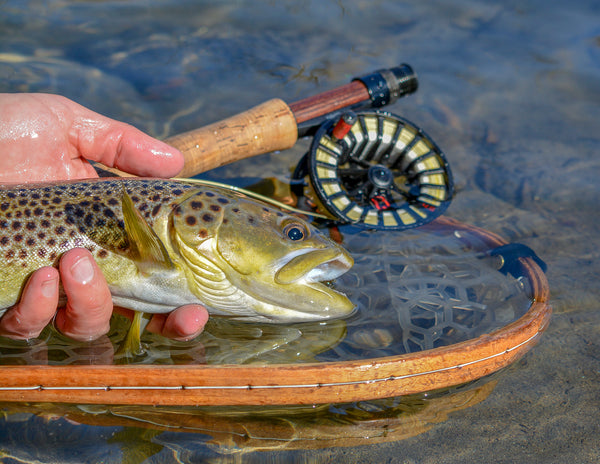 Value of a Fly Reel in Montana Fly Fishing