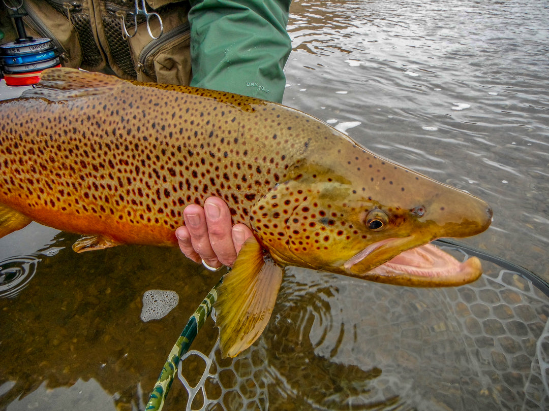 Fly Fishing Montana - The Colors of Fall