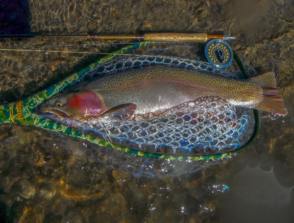 Stillwater Fishing Part 2 - The Hunt For Big Trout