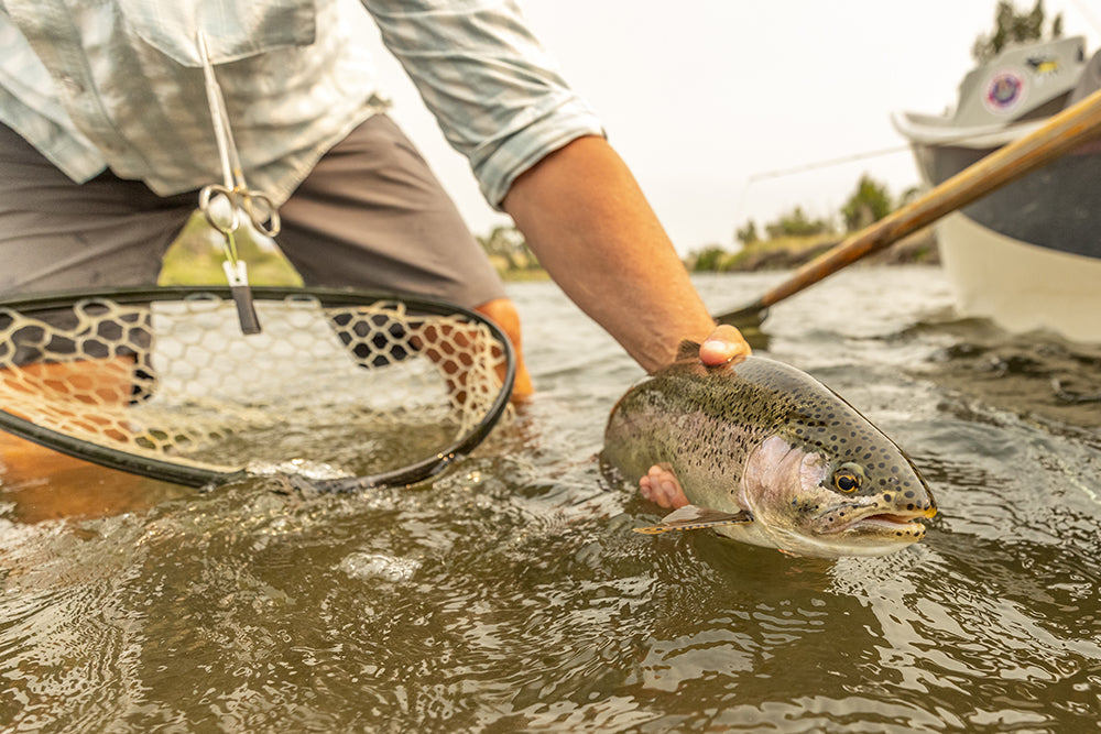 Do I Need a Net for Fly Fishing?