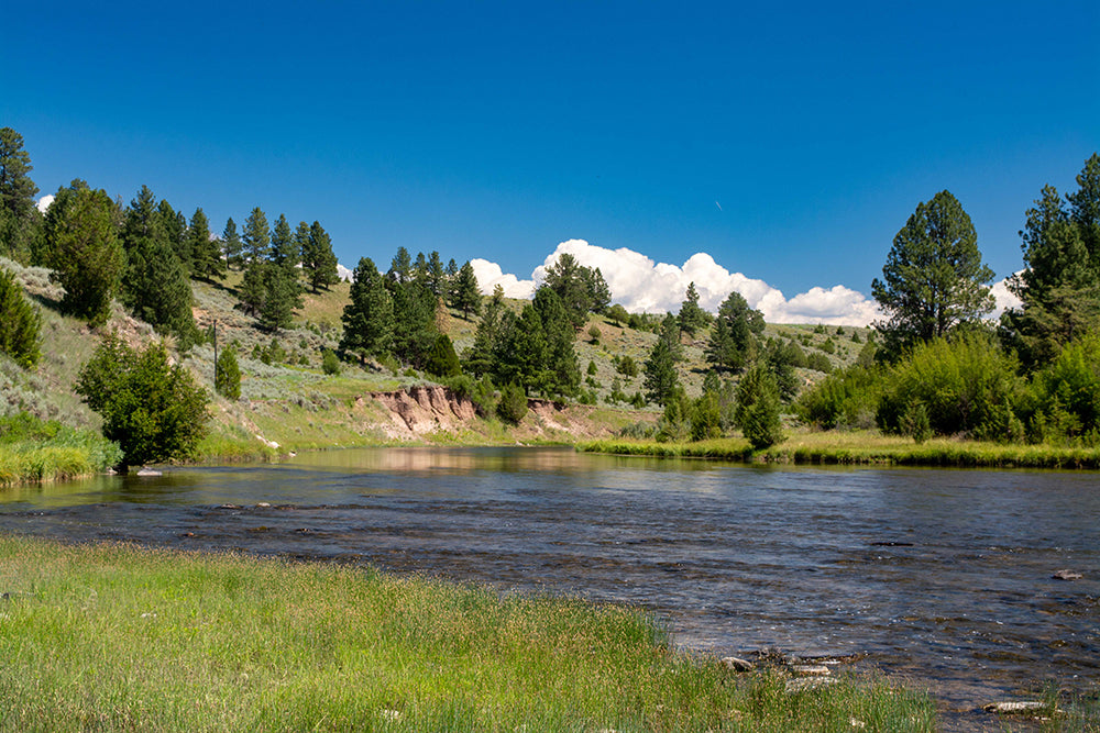 Montana Fly Fishing - Fishing in the Summer Months in Montana