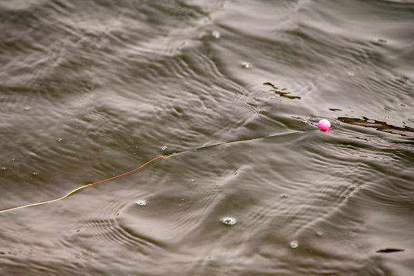 Hooking More Fish on the Madison