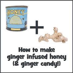 How to Make Ginger Infused Honey