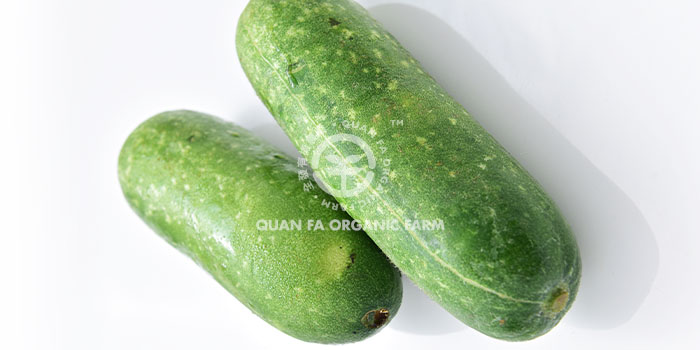 Hardy Vegetables 瓜類 ハード野菜 Quan Fa Organic Farm