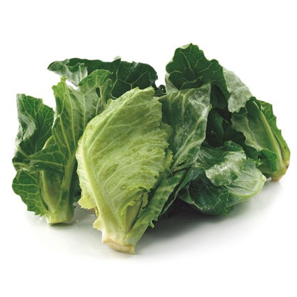 Quanfa Organic Leafy Vegetables Baby Cabbage | Quan fa Organic Farm