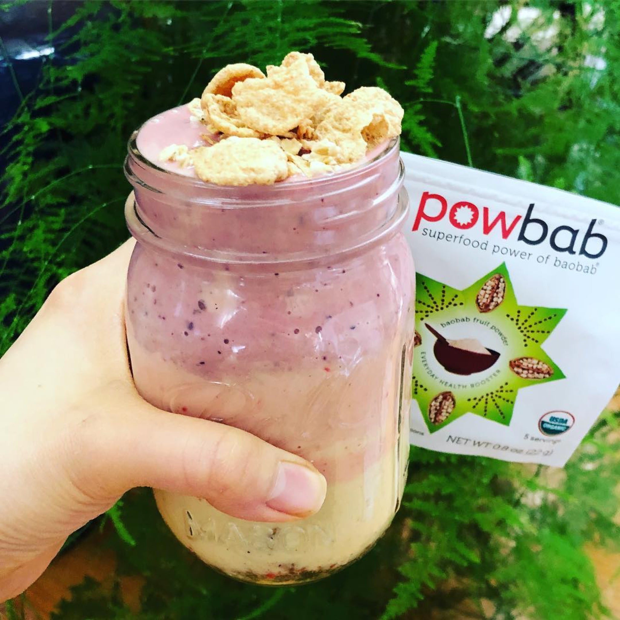 powbab® Every Day Baobab Recipes