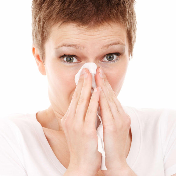 How to Prevent Getting the Flu? - powbab